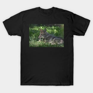 Wolf Puppy T-Shirt